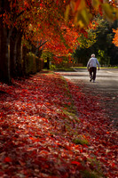 SLR50D-20131011-2065-Edit-Edit