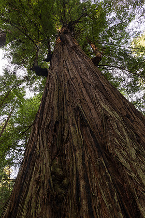 SLRR5-20211125-4624-HDR