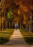 SLR50D-20131011-2079-Edit-Edit