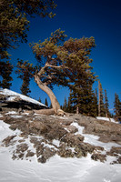 SLR5D-20120226-9501_2_3