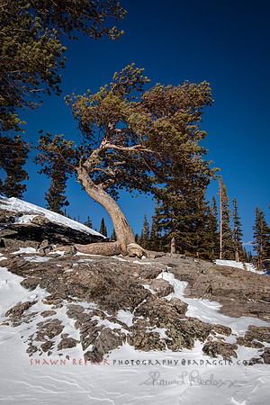 SLR5D-20120226-9501_2_3