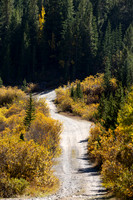 _MG_3635