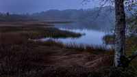SLRR5-20211126-4709
